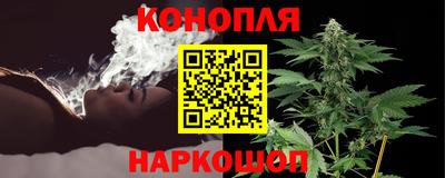 амф Кингисепп