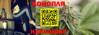 амф Кингисепп