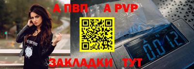 амф Кингисепп