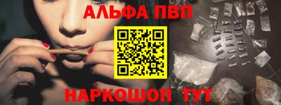амф Кингисепп