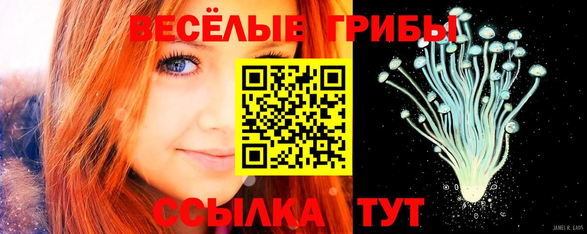 Псилоцибиновые грибы Magic Shrooms Лабытнанги